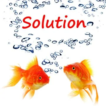 Solution Stock Photos