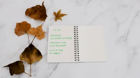 Solutions to global warming conceptual video, hand placing green branch next  Video stock 119936979