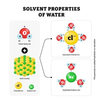 Solvent properties of water process diagram, physic educational illustratio.. Stock Illustration