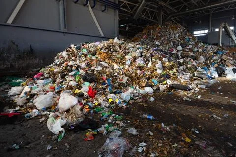 Solving problem of environmental pollution with waste at garbage processing p Stock Photos