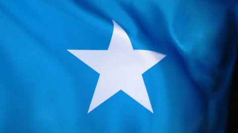 Somali Flag Flapping Stock Footage 118968414