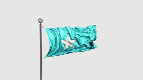 Somalia Flag  Animation Loop Include Alpha 3D Rendering Stock-Footage 283008842