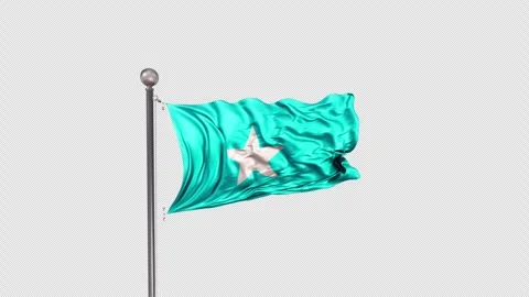 Somalia Flag  Animation Loop Include Alpha 3D Rendering Stock-Footage 312103768