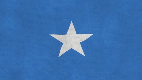 Somalia flag waving Stock Footage 102646893