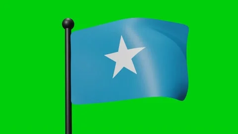 Somalia Flag Waving in Slow Motion on the green background. 3D Render Flag.  Stock Footage 230911628