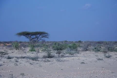Somalia Stock Photos