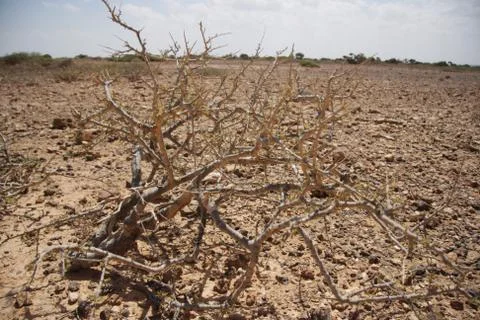 Somalia Stock Photos