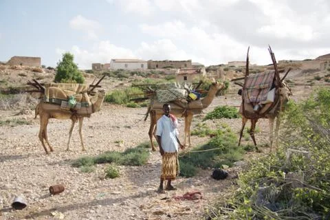 Somalia Stock Photos