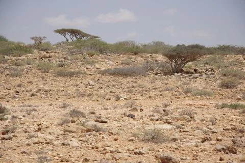 Somalia Stock-Fotos