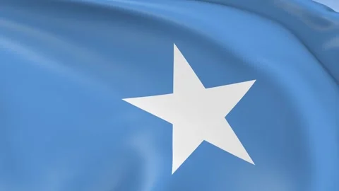 Somalia Waving Flag Background Loop Stock Footage 317845261