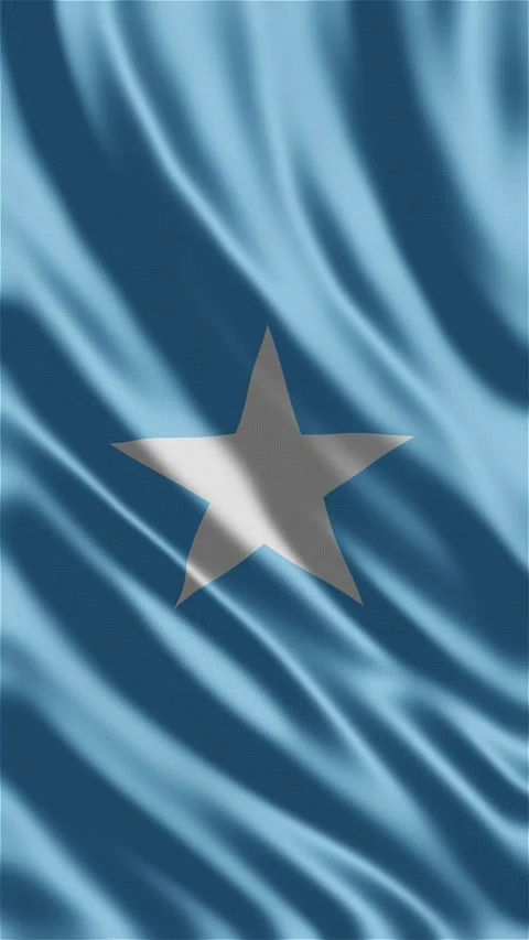 Somalia waving flag Stock-Footage 288004552