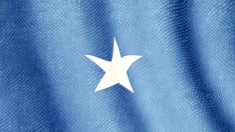 Somalian flag waving animation Video stock 77617069