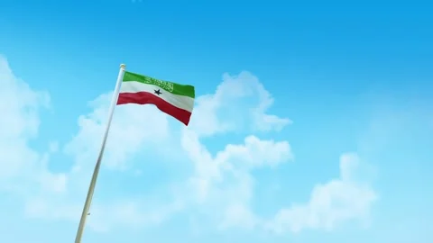 Somaliland Flag 3D Render Animation with Fighter Jets Formation in Blue Sky Stock-Footage 333222181