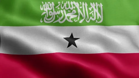 Somaliland flag Front Stock Footage 318669661