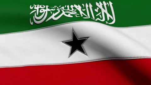Somaliland Flag Loop Stock Footage 241170643