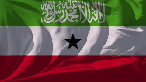 Somaliland Flag Loop Stock Footage 295750791