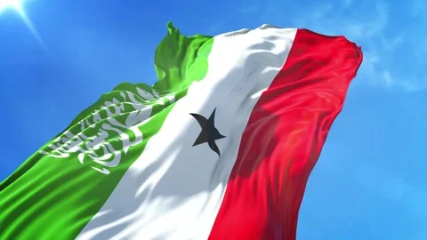 Somaliland Flag Low Angle View Stock Footage 295703360