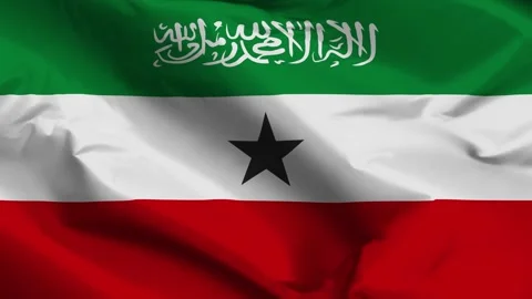 Somaliland flag moved by the wind Stock Footage 292446805