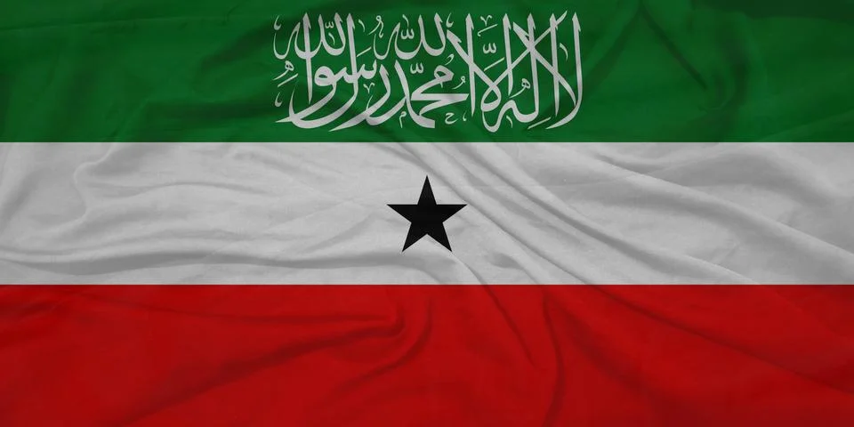 Somaliland Flag moving in wind イラスト素材