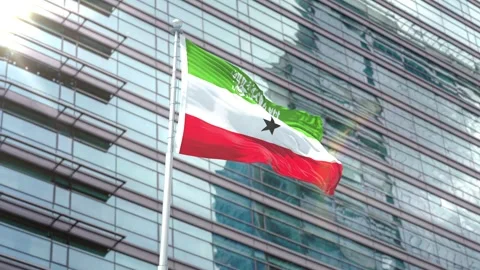 Somaliland Flag VS Flag of European Union Stock Footage 343365361