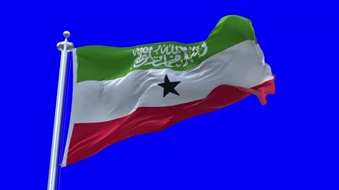 Somaliland Flag Waving in Loopable and Textured green screen background Stock Footage 296875825