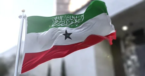 Somaliland-flag-waving-seamless-loop-4k-60fps Stock Footage 331945365