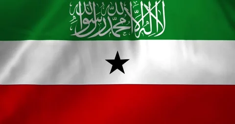 Somaliland flag waving with the wind background loop video animation Vídeo Stock 327173507