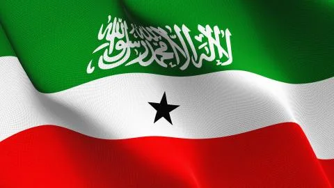 Somaliland flag waving on wind. Illustrazione stock