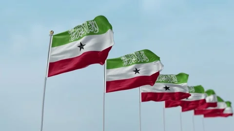 Somaliland Row Of Flags Animation Stock-Footage 136253857