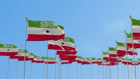 Somaliland Row Of Flags Animation Stock-Footage 148795049