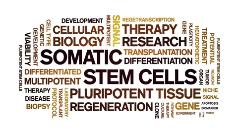 Somatic Stem Cells animated word cloud,animation typography seamless loop. Stock Footage 327620199