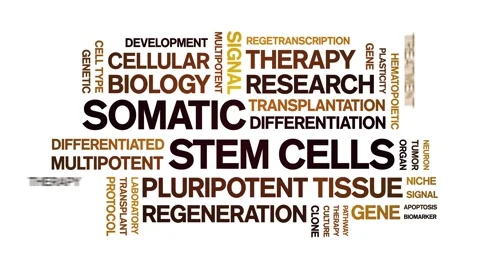 Somatic Stem Cells animated word cloud,animation typography seamless loop. 스톡 동영상 327620213