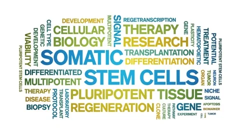 Somatic Stem Cells animated word cloud,animation typography seamless loop. Video stock 327620224