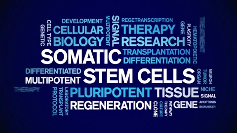Somatic Stem Cells animated word cloud,animation typography seamless loop. Stock Footage 327620689