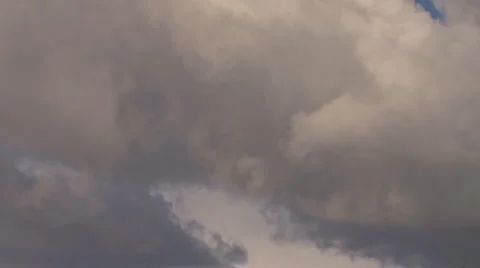 Somber Tendrils Stock Footage 2324558