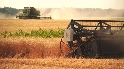 Сombine harvester Stock Footage 126086734