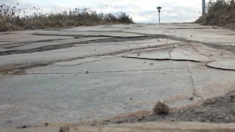 Some ants moving under sunset lights Stock Footage 313164757