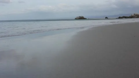 Some birds in a tiny island Stock Footage 241441072