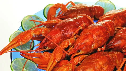 Some boiled crawfish. Video stock 95157599
