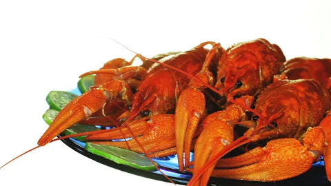 Some boiled crawfish. Video stock 95213312