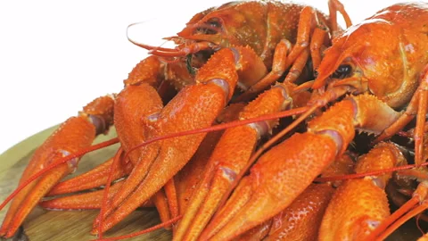 Some boiled crawfish. Video stock 95655036
