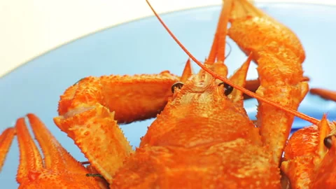 Some boiled crawfish. Video stock 95658930