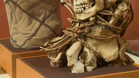 Some  bones and a skull all tied up Stock Footage 110184566