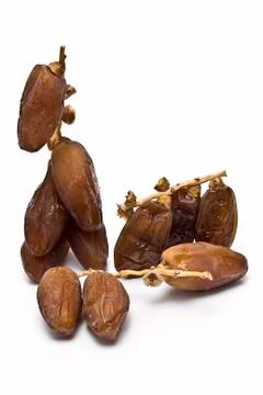 Some branches with dates. Stock Photos