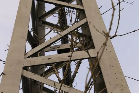Some branches on a metal structure Stock Photos