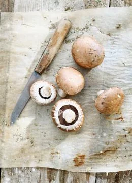 Some brown mushrooms Stock Photos