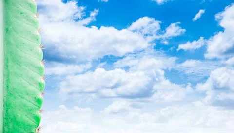 Some of the cactus with cloud and sky Stock Illustration