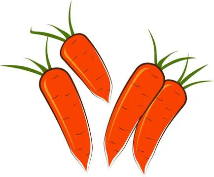 Some carrots on a white background. Stock Illustration