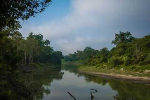 Some cute turtles basking in the sun at Kaziranga National Park Stock-Fotos