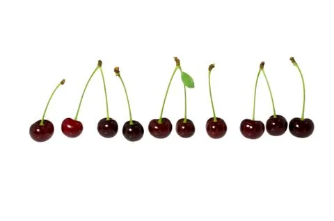 Some dark berries of a cherry. Foto stock